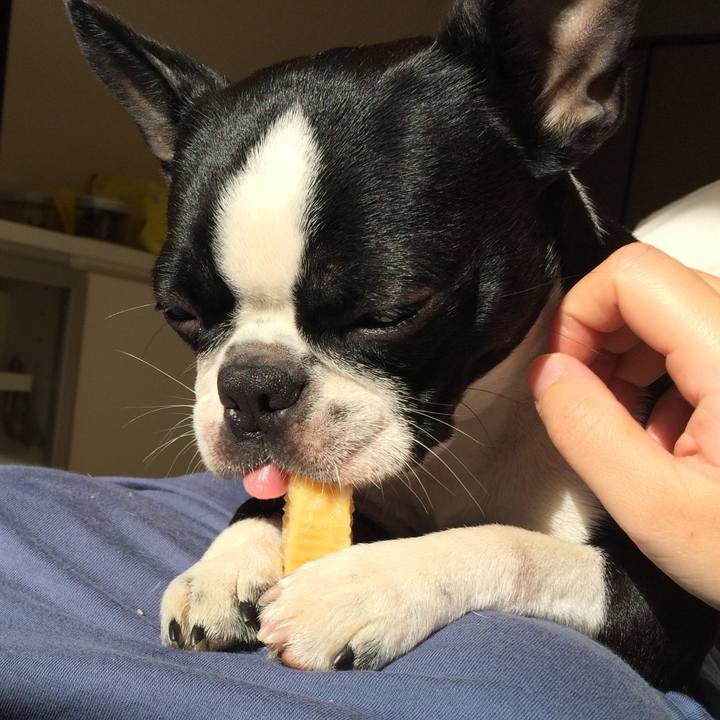 Eddef54a 33ae 4c62 935b 291111497c5c