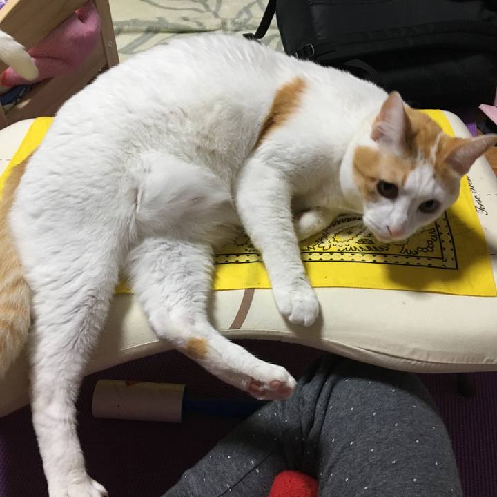 Ede03a03 6ee5 493c a33f 76459d6b5f69