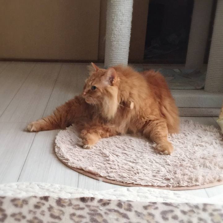 Ede05517 956f 4363 b055 89d9ab23a6d5