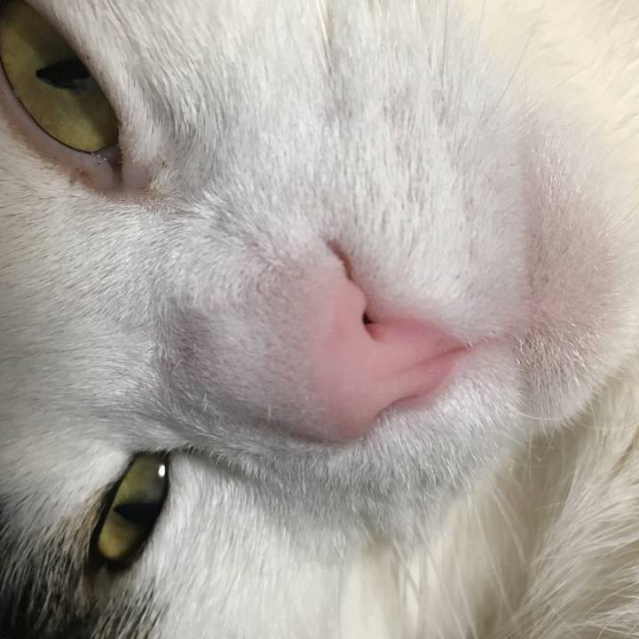 Ede10eba eda2 4b1f 8c05 845ee629d083