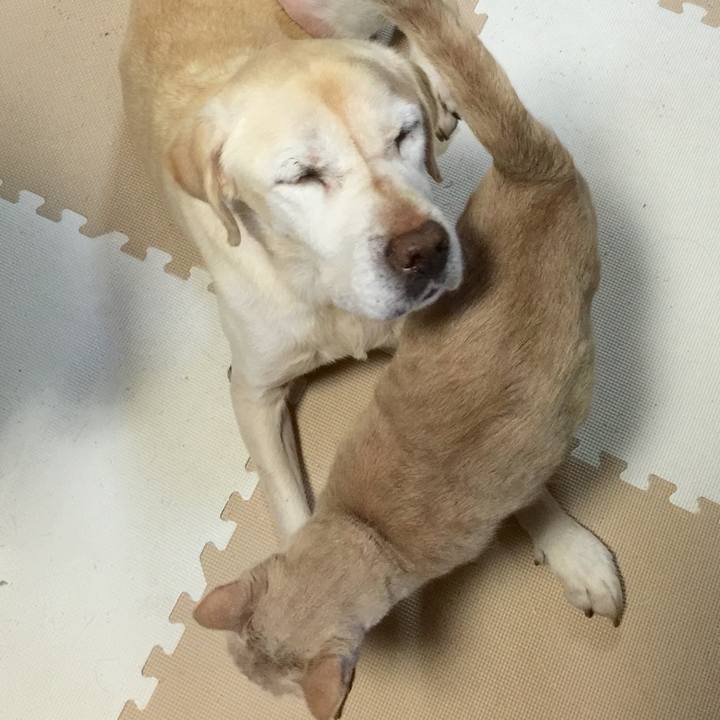 Ede20229 a2c9 4e22 8759 6bb29438caf3