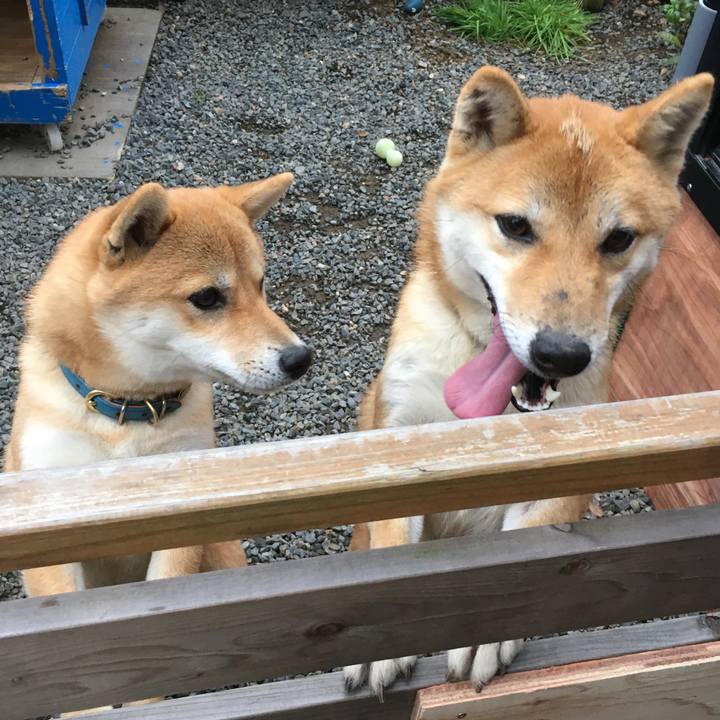 Ede2617f a84b 4f30 9ed4 78ddd8335eff