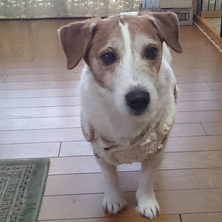 Ede29983 cfb9 4af2 8e60 fc689beb92bf