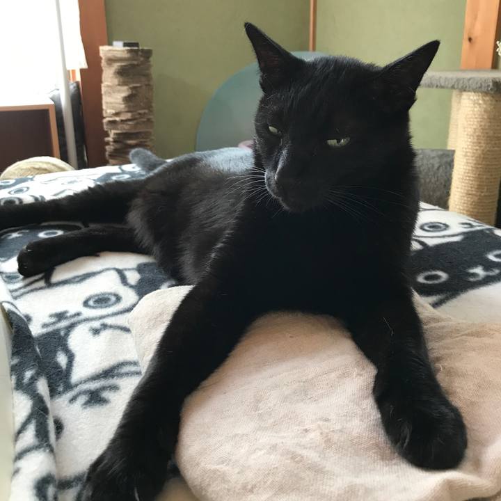 Ede2ca78 fb87 4f37 bba6 ba2ac8f5302a