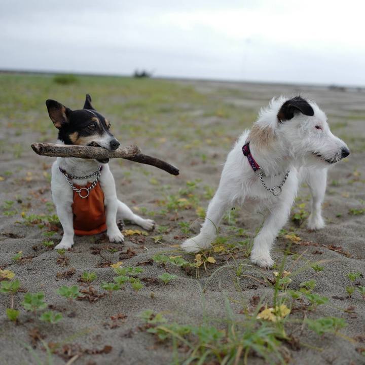 Ede32733 0c3a 4caf 9465 7e822742fa7d