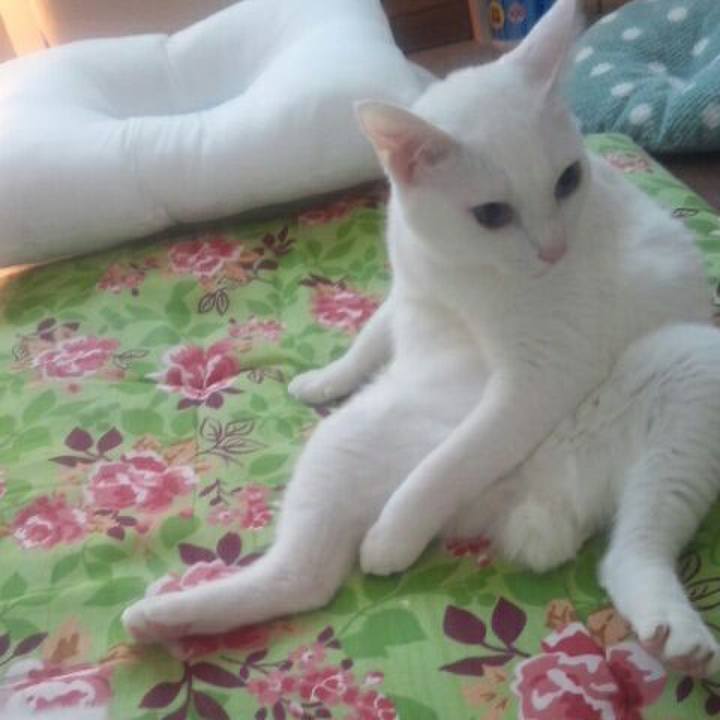 Ede375ba b46c 436f 8516 f1823e8cbf0a