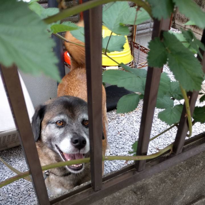 Ede3f81f 2b62 4a36 adf0 d9334f9192da