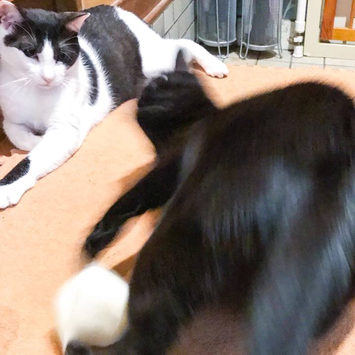 Ede4334e 2106 432d b2ae d45d61668e7d