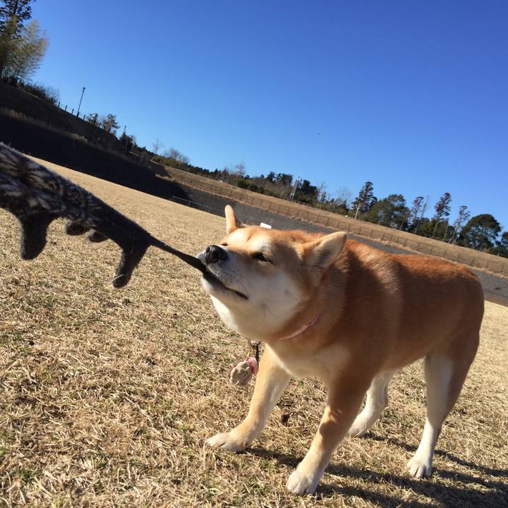 Ede4fe07 3713 4f4f b6cc 321eb2aa7b9c