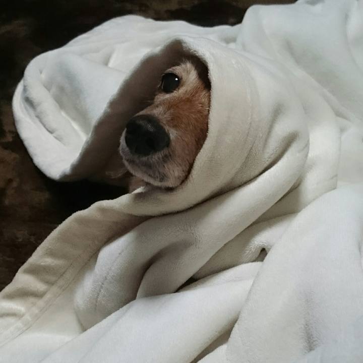 Ede57ad0 792a 4d11 b635 1bea7544ee0e