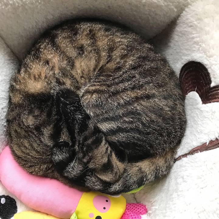 Ede5bcf9 3ee0 49be 9f18 a2fd4290d759