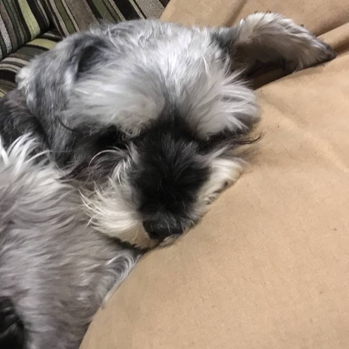 Ede6db0c b013 4279 acea 994f37912f8d