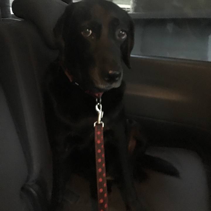 Ede7d7c6 ea70 496f a3fe d52f7a575d4f