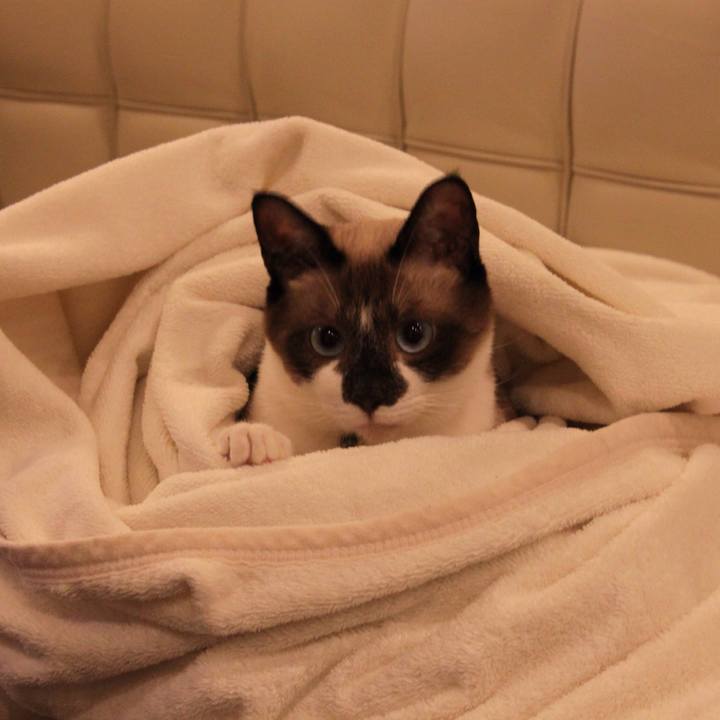 Ede8047d 4c14 4760 a5c9 12ebc65938da