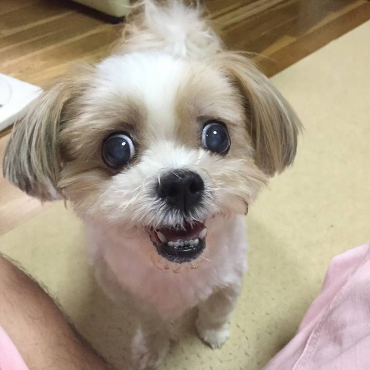 Ede834fd 56de 45cb 9420 037bdc8fa030