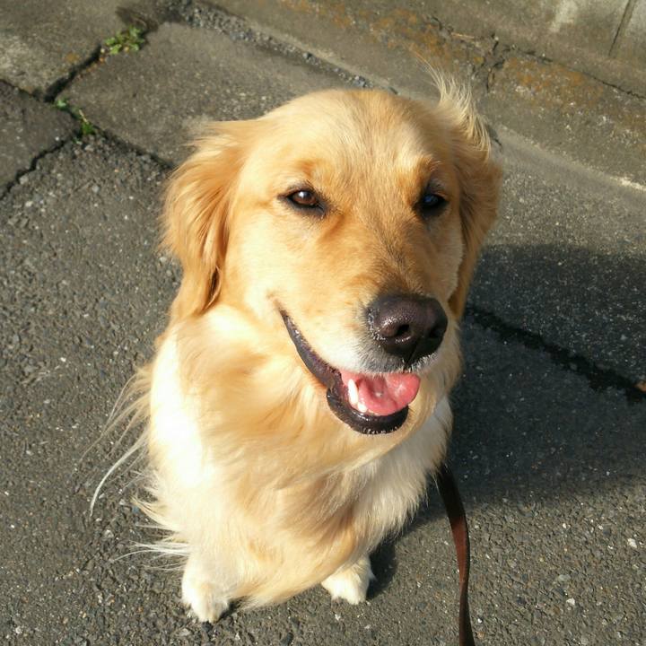 Ede8377e d61b 40ba 9b02 525295b55155