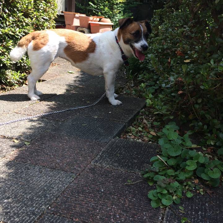 Ede83c9e d83d 44c3 ad16 b04b51478459