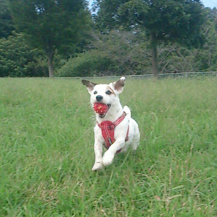 Ede88163 faff 4df7 a7c5 b67976fc242e