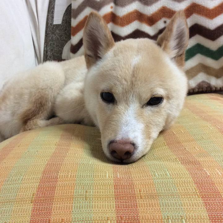 Ede90029 bd67 4cbf 94b3 362ee847960b