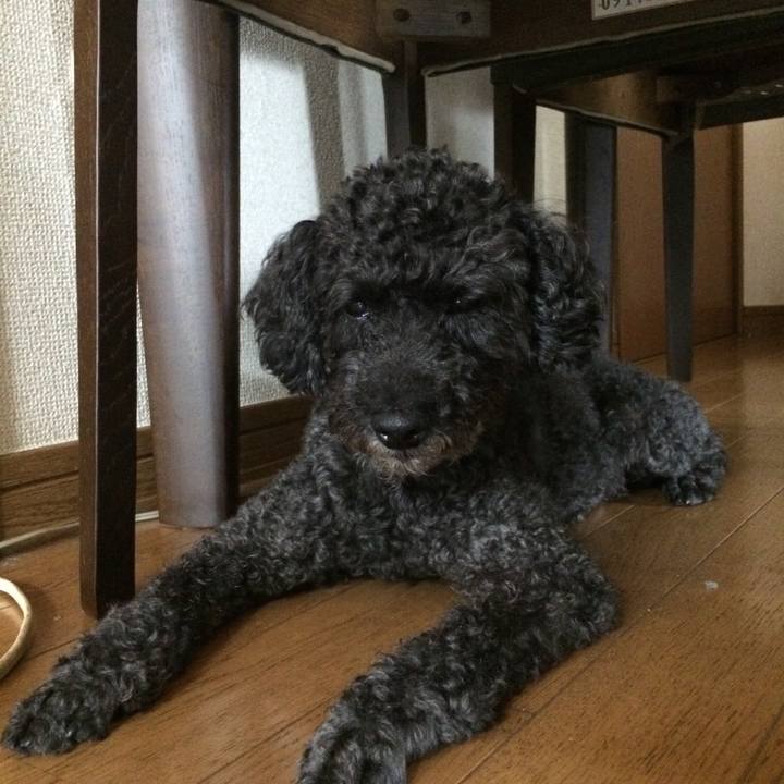 Edea9f0a fbd6 4489 bf18 b97e441328e9