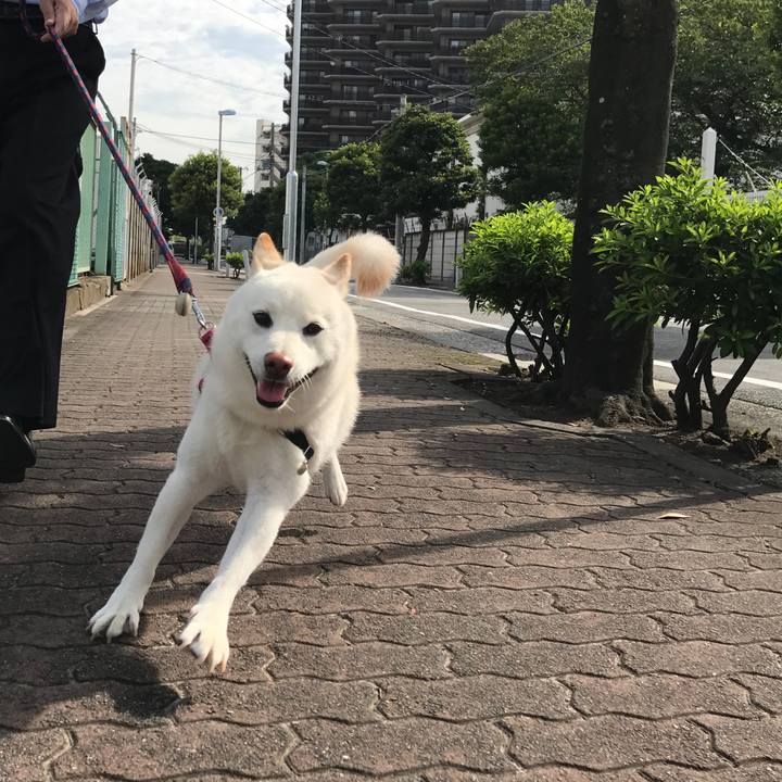 Edec16ae 5a05 4518 88f1 137f7f330bfa