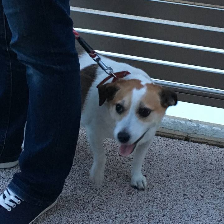 Edec1fb8 ed4b 4b53 816b 8b4918657de0