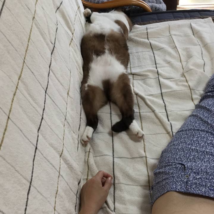 Edec974f ed2f 406e 84b9 73e2f0c681c9