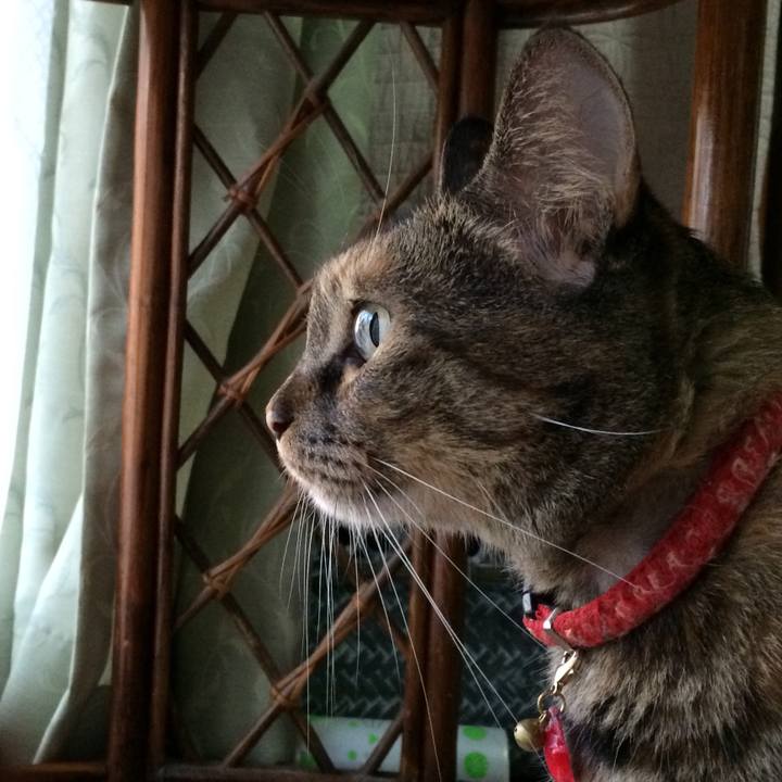 Edecbb37 34b1 4b54 b468 76410885966c