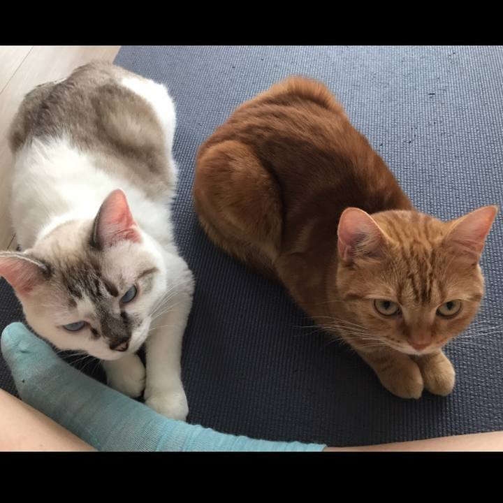 Edecd564 ba17 422a 93bb 11c172ab82e4