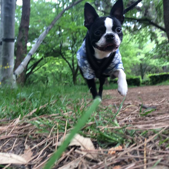 Eded4943 b205 453e 8875 10fa7a81dfe3