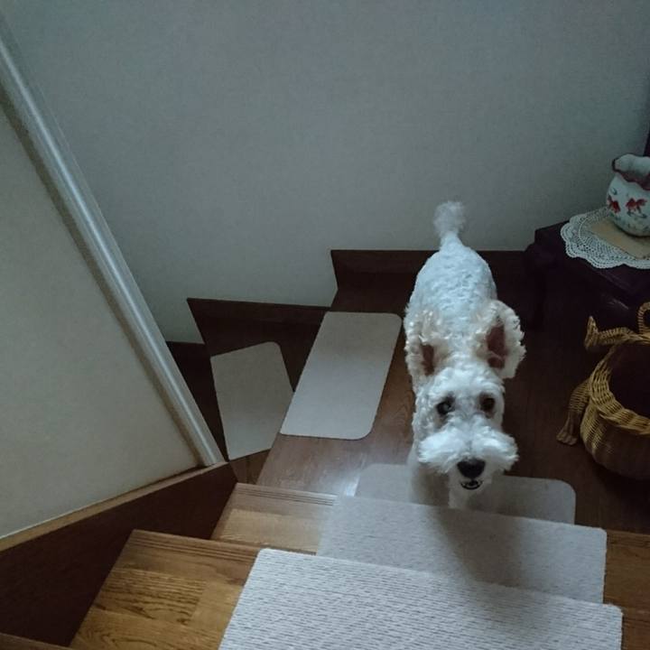 Ededb4f4 ec1e 4f53 b795 e84ebbb4a110