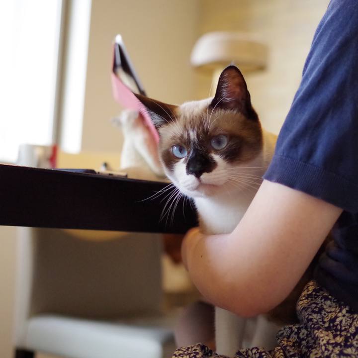 Ededc861 e331 4de9 ae7b 6eb873c11c2a