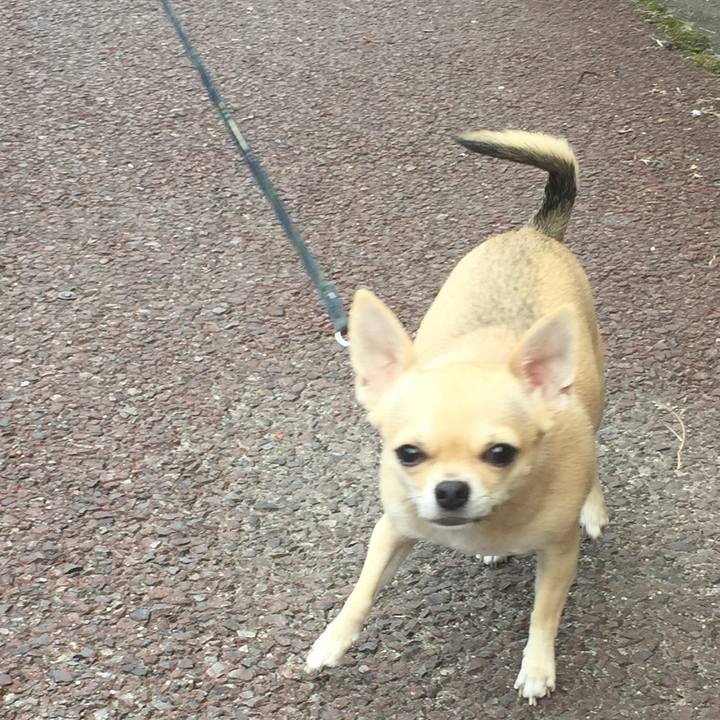 Edee1cfc 234e 4616 810f 2fb1d859719f