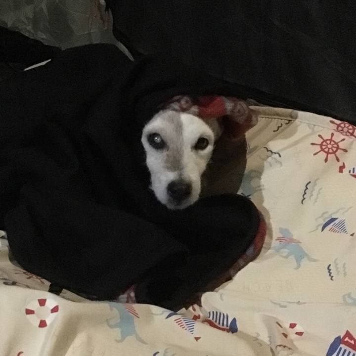 Edee31f4 27c7 4cb2 a64e b47169b0931d