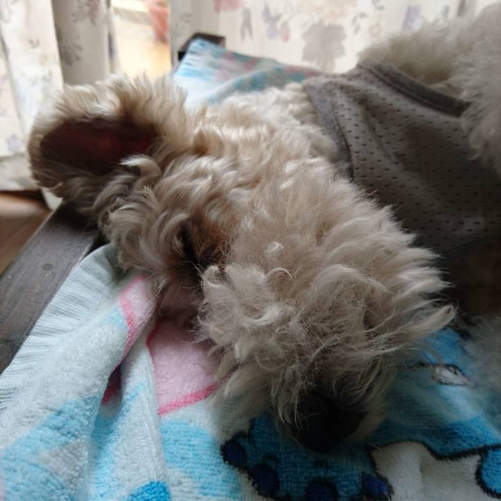 Edee3664 0fe7 4101 aeee 386c8e14818a