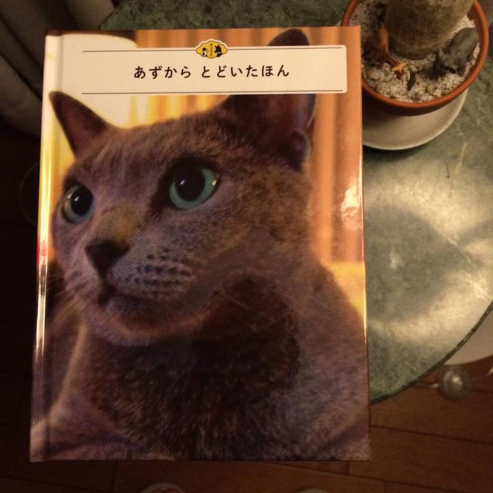 Edef43dd 4083 4dd0 b8df 0ee76c5aa3fb