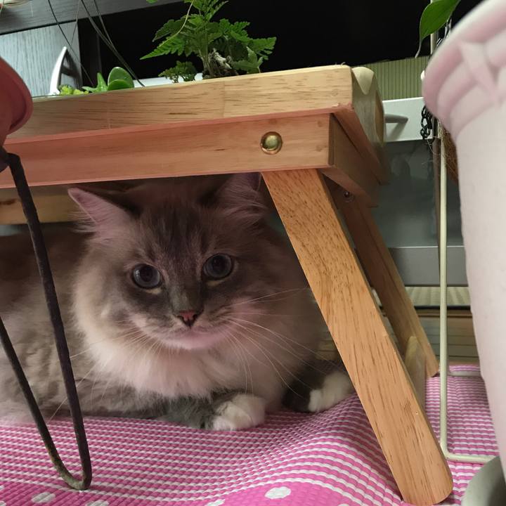 Edf03564 36ae 4b72 9d8a f539416b86f0