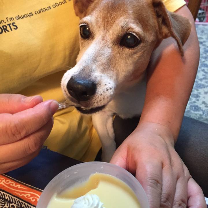 Edf03b1b 2836 40b9 8b97 28963820b2e6