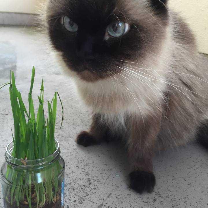 Edf07e44 aac2 49f7 a69b 94d8c91672af