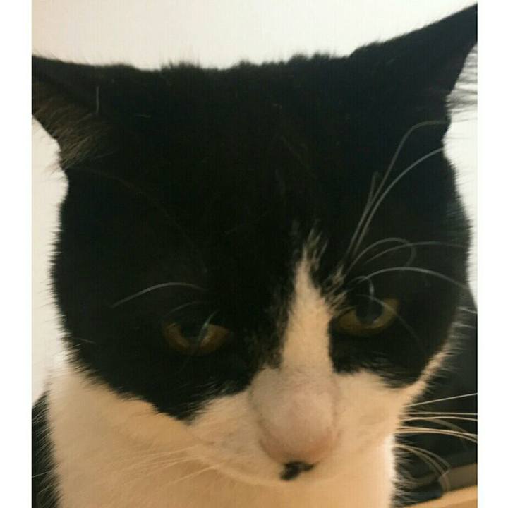 Edf0df19 4836 473c b441 41ad74c02a5b