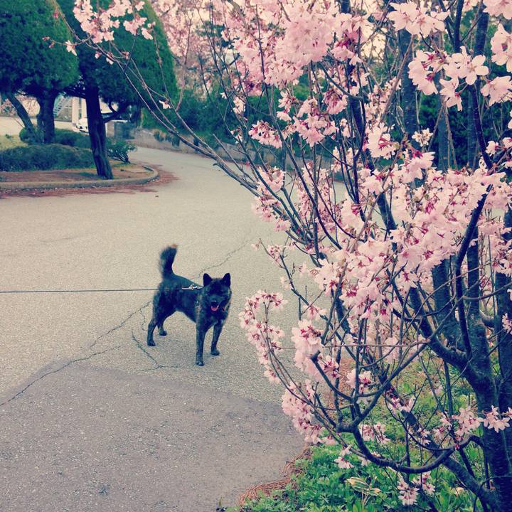 Edf17617 d73d 45f9 86fd c3d6390549a3