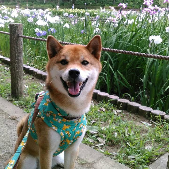 Edf1b513 b4b7 47c4 a8f3 8a7a8d6ceccf