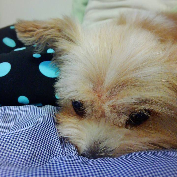 Edf1ba91 54e1 40d0 9dc1 eaf3c564adbf