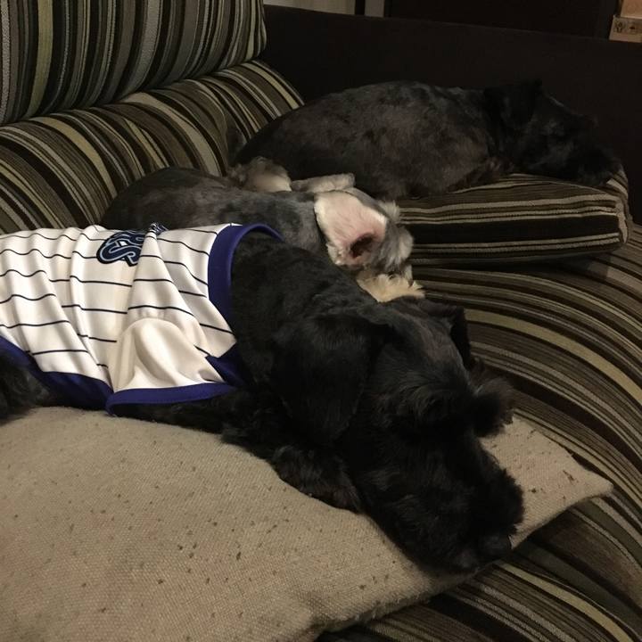 Edf1eb41 8a78 49dc 9337 de055621c03c