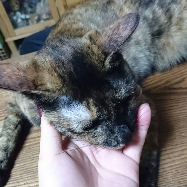 Edf30eaa 1b52 41b0 8b32 db472f5d67a7