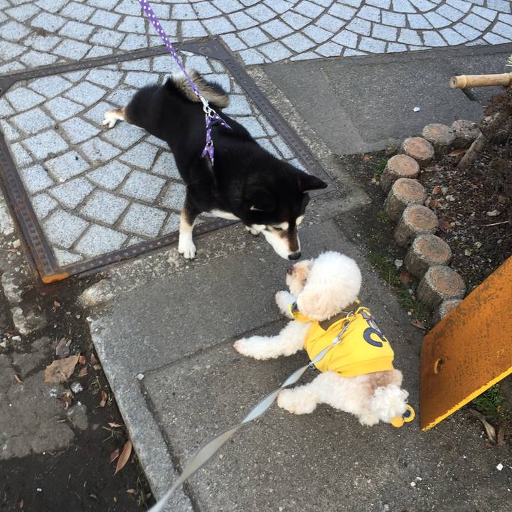 Edf45a3c 47d2 4782 a7b9 0d4e3d201e57