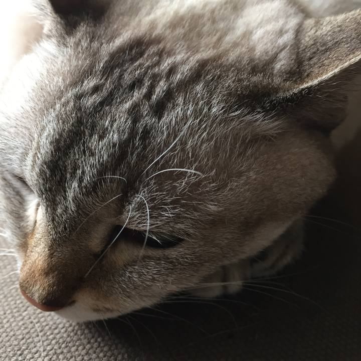 Edf4623a 2d65 4d8c 9ece ee4920fc46d3