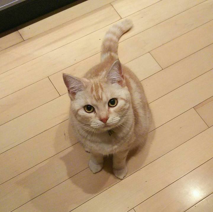 Edf53fbe 289f 4a06 af28 7aca49246966