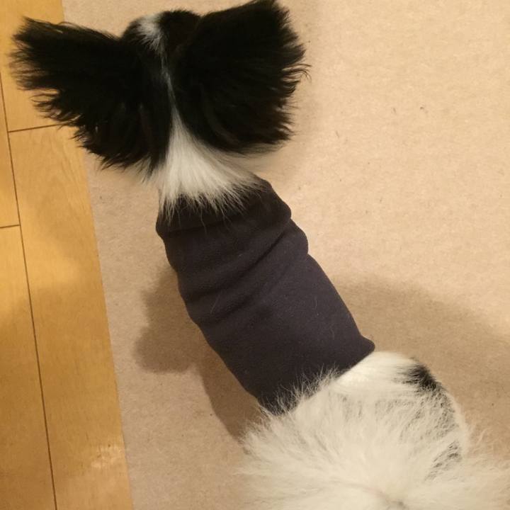 Edf59e41 7664 4388 b6d4 aef5f1166b61