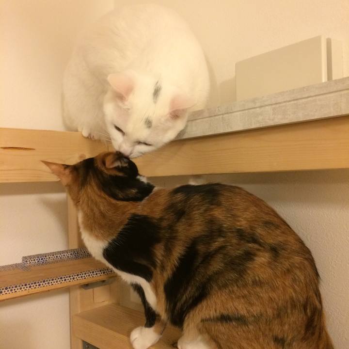 Edf5ea6e 6ee2 4391 bf86 41c489383f66